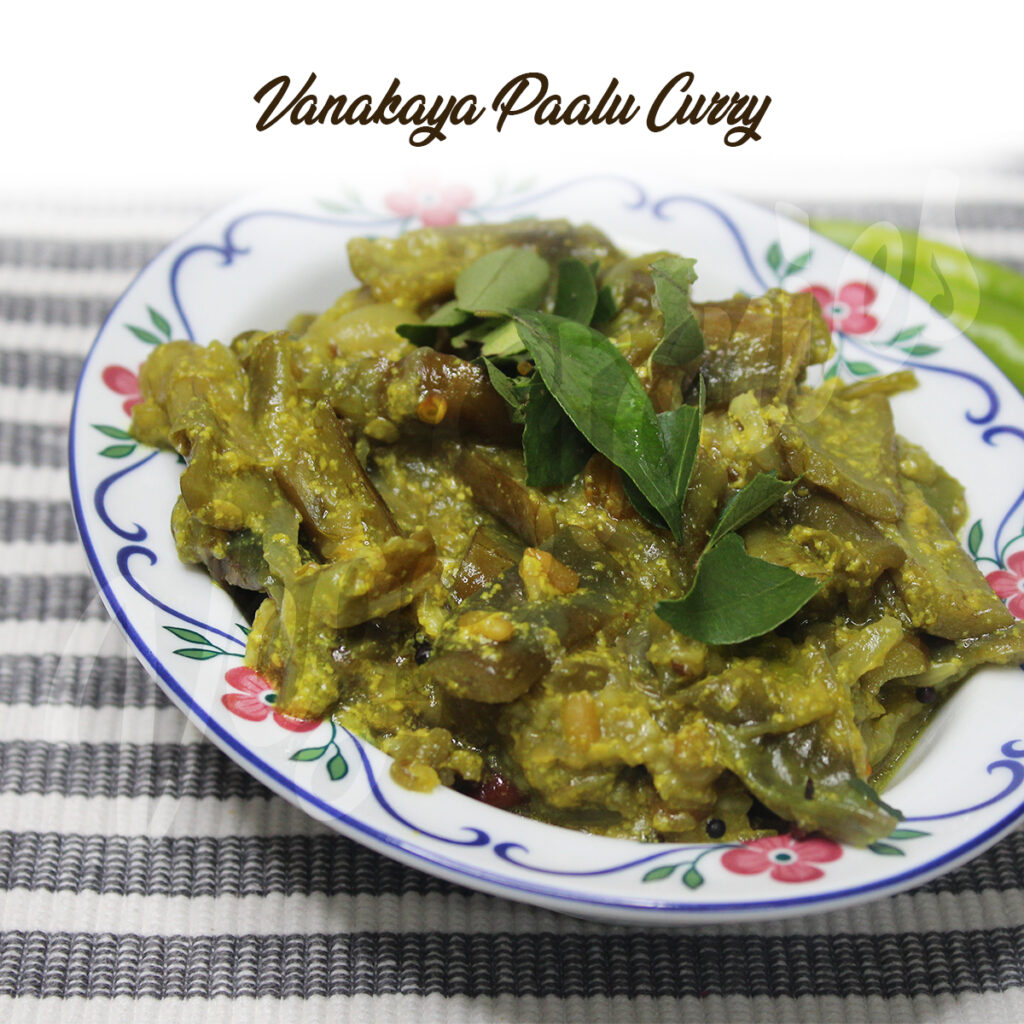 Vankaya Paalu Curry