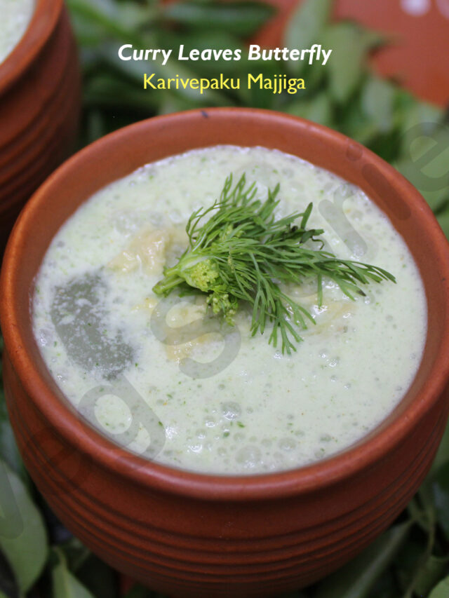 Karivepaku Majjiga